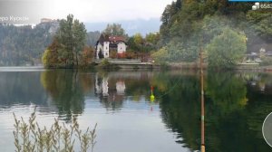 My Fishing World язь без прилова
