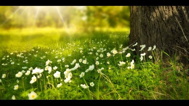 Как убрать привязку к 4 чакре анахате смотреть онлайн