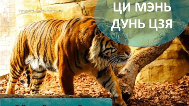 #46 Девять Дунь: Структура Тигра l Ци Мэнь Дунь Цзя