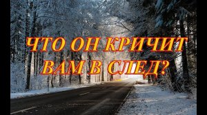 ЧТО ОН КРИЧИТ ВАМ В СЛЕД...