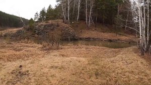 Металлокоп с MD4030