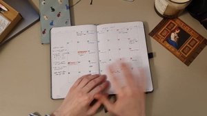 МОИ НОВЫЕ ЕЖЕДНЕВНИКИ 2024 | Как я веду ежедневник