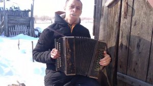 Весна. Кавер. Виктор Цой. Кино, на гармошке.