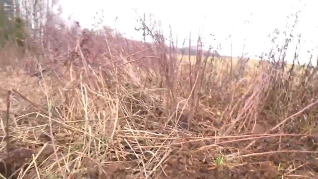 Металлокоп ОСЕНЬ 2023 ОШАЛЕЛ КОГДА УВИДЕЛ ЧТО НАТВОРИЛ смотреть онлайн