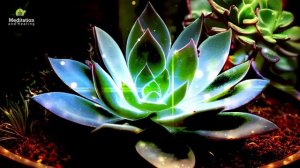 741 Гц 528 Гц 432 Гц Частота чудесной медитации.