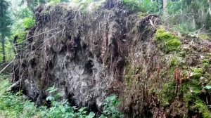 02.08.2023 09:41 [Неотмеченная на карте тропа]