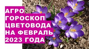 Агрогороскоп цветовода на февраль 2023 года. Агрогороскоп квітникаря на лютий 2023 року