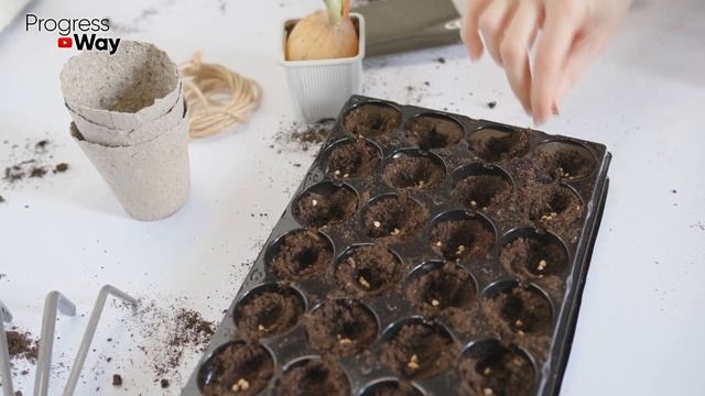 ОГУРЦЫ БУДУТ САМЫМИ РАННИМИ - ПРОВЕРЕННЫЙ СПОСОБ ПОСАДКИ! (ПОПРОБУЙТЕ!)