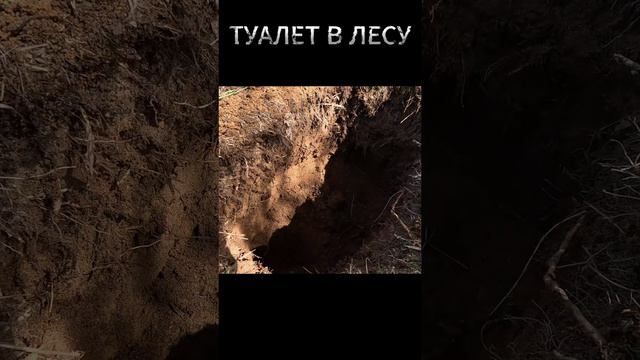 Туалет на природе!