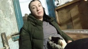 ПОЧЕМУ ПОРОДИСТЫЕ КУРЫ ЛУЧШЕ КРОССОВ???МОЙ ГОРЬКИЙ ОПЫТ КУРОВОДСТВА.ПОЧЕМУ ЛЕГГОРН?
