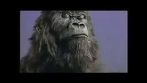 Cadbury Gorilla Remix