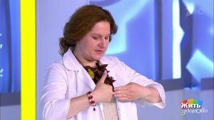 Минута здоровья: упражнение для мозга. Жить здорово! Фрагмент выпуска от 03.09.2019