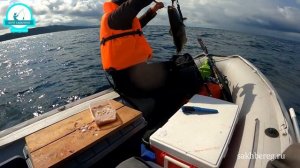 Морская рыбалка на Сахалине. Рыболовные туры по Сахалину #сахалин #рыбалка #горбуша#туризм #спиннин