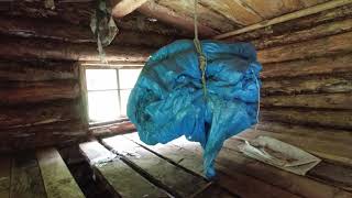 Этот хруст веток! смотреть онлайн