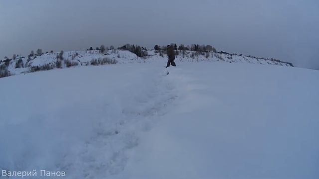 Налим на жерлицу. Оставил на ночь и не зря! смотреть онлайн