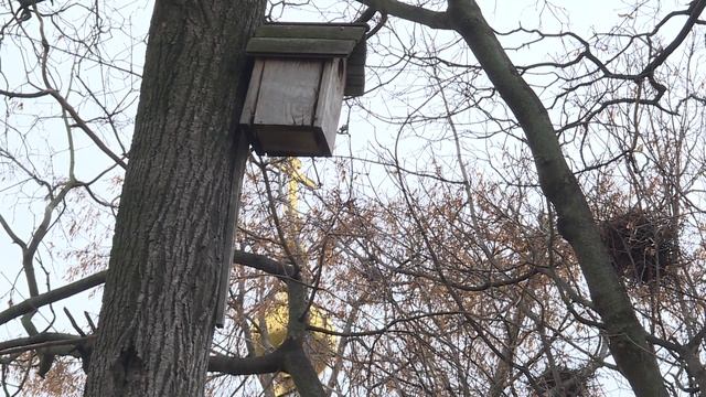 Благовест ( 8 ноября 2019 ) смотреть онлайн