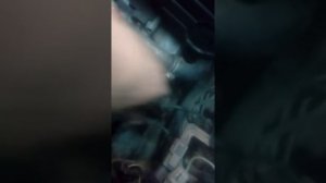 Ниссан примера р10