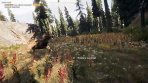† Far Cry 5 прохождение [#44] † Как правильно охотится на животных. Мясо для Чеда