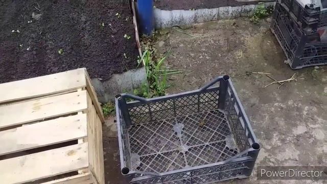 #влог/Как Заставить Курицу Сесть на Яйца?/Самый Лучший Инкубатор в Мире!/Яйценоскость Кур Несушек