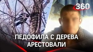 Педофила с берёзы арестовали. На дерево его загнал дядя падчерицы с битой