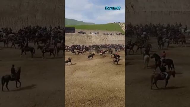 Бузкашӣ Кулоб Каримхон човандоз #бузкаши #кулоб #таджикистан смотреть онлайн