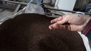 Лузга гречневая