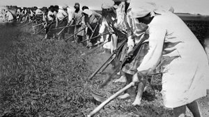 Коржевка - затерявшаяся деревенька в лесах Сурского края