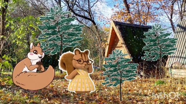 Дві білочки (Українська народна казка)
