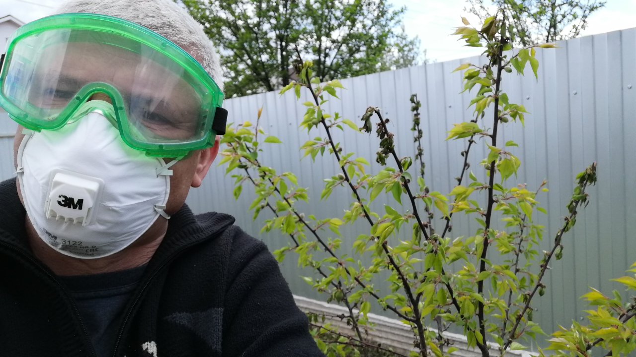 Спасение абрикоса !!! смотреть онлайн