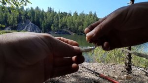 Рыбалка. Ловля окуня на живца