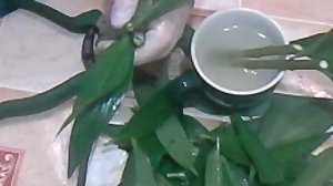 Бюджетный способ размножения лилий.