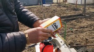 Чем обработать деревья весной.