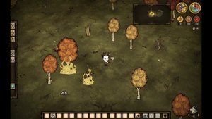 Как получить древесный уголь в Don't Starve