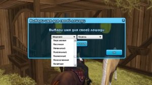 Покупка Марвари в Star Stable Online | Пегая масть | Marwari