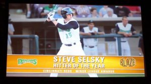 2012 Cincinnati Reds Minor League Awards