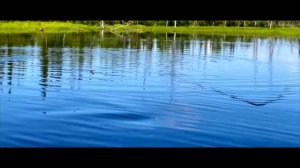 Енисей, Таймыр, река Курейка