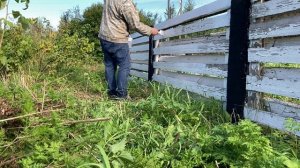 Забор покраска фасадной краской Проблема