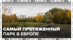 Столичный парк "Яуза" после благоустройства станет самым протяженным в Европе - Москва 24