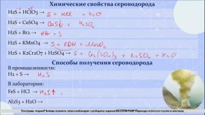 8. Халькогены (6 группа). Химические свойства сероводорода и сульфидов