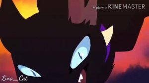 Коты Воители: Три разных ВИДА ПЕСНИ BELIEVER