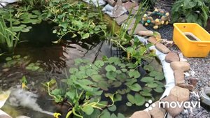 Испарение в пруду. Долив воды