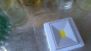 Жидкий мицелий достать из стерильного флакона