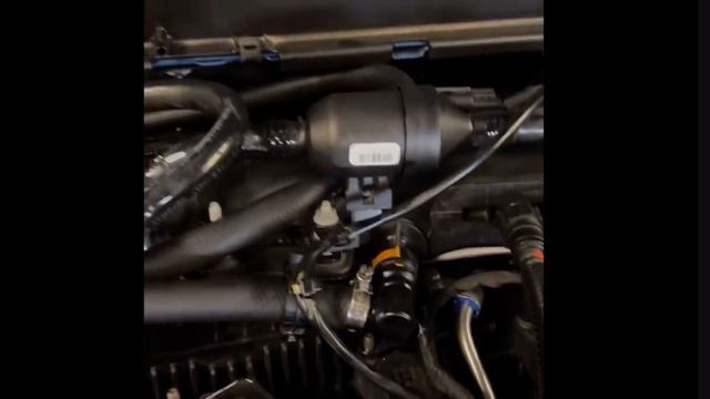 Ford Maverick Oil Catch Can-Not Buying PCV Quick Connects-2023 Maverick XL смотреть онлайн