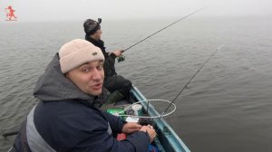 Ненавижу Кума – ловля Судака на Мандулу