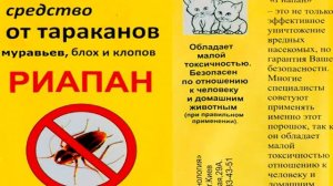 Как защититься от клопов