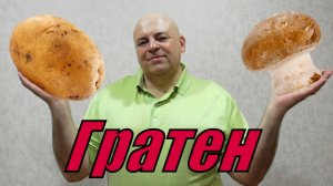 Картофельный гратен с грибами в сливочном соусе.