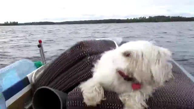 Мягкий вагон смотреть онлайн