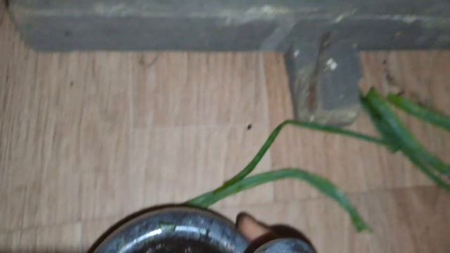 То самое DIY видео