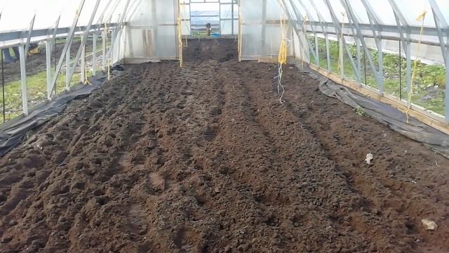 Начало сезона 2020... смотреть онлайн