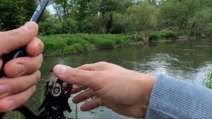 Ловля ГОЛОВНЯ (голавля) на ПЕЧІНКУ